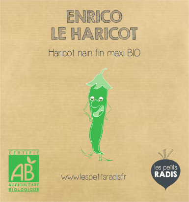 Mini-kit de semis - graines de haricots bio - Enrico le haricot nain 4
