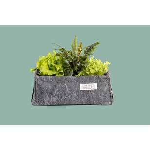 Mini jardinière / Potager de balcon