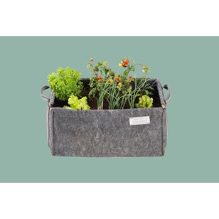 Jardinière / Potager de balcon