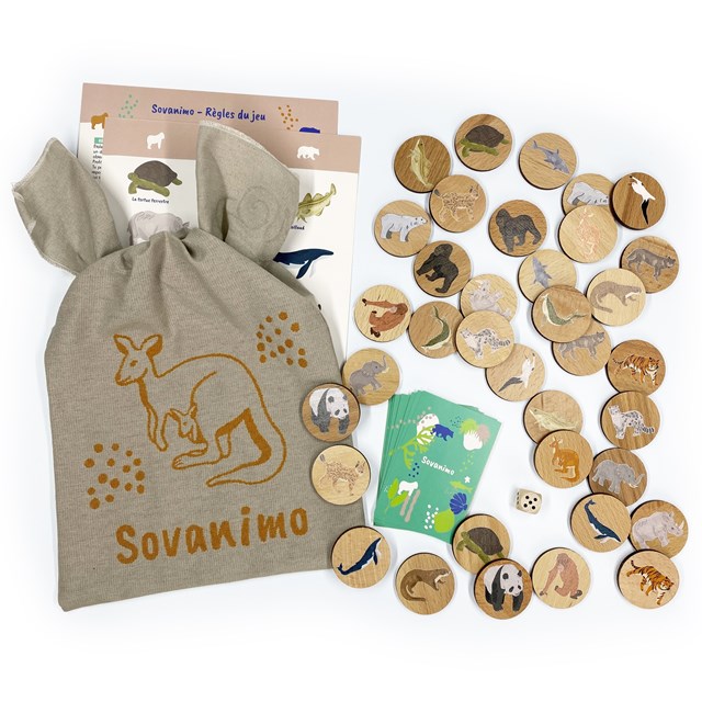 Sac de rangement du jeu et son contenu