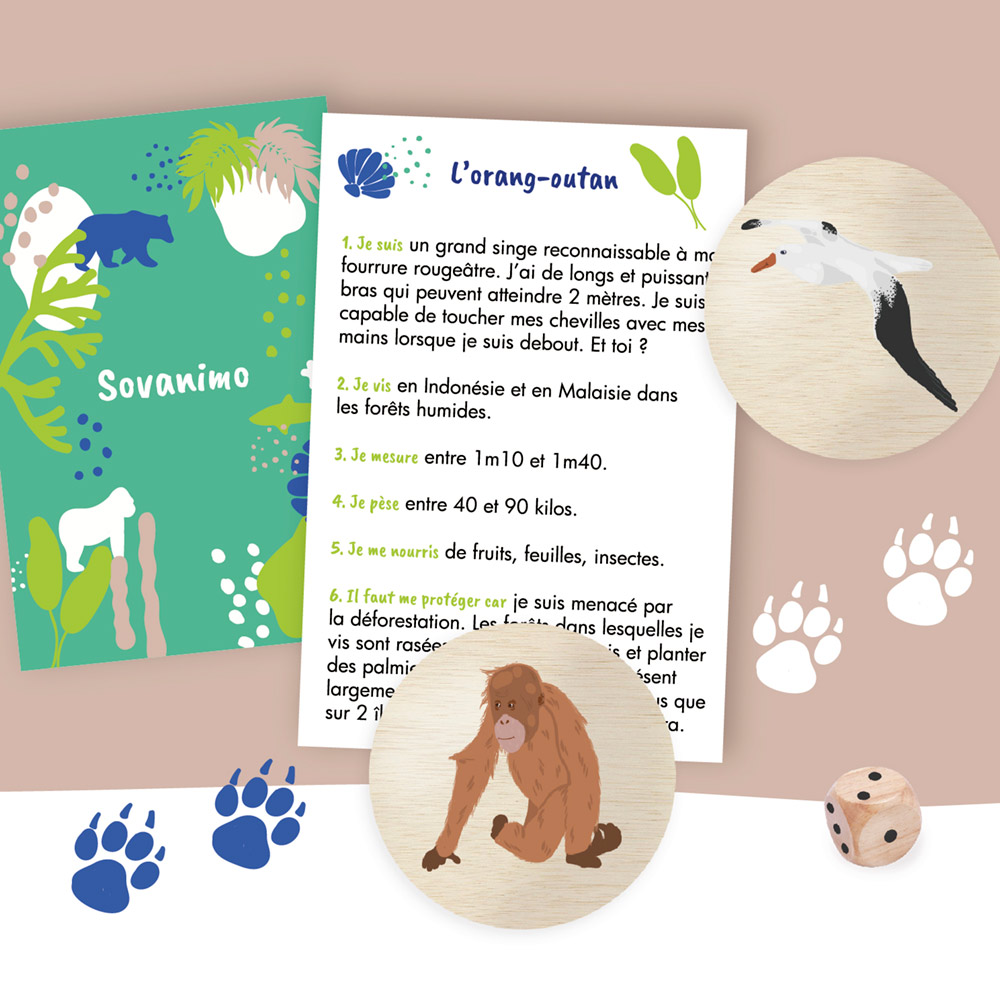 Détails de cartes et de pions