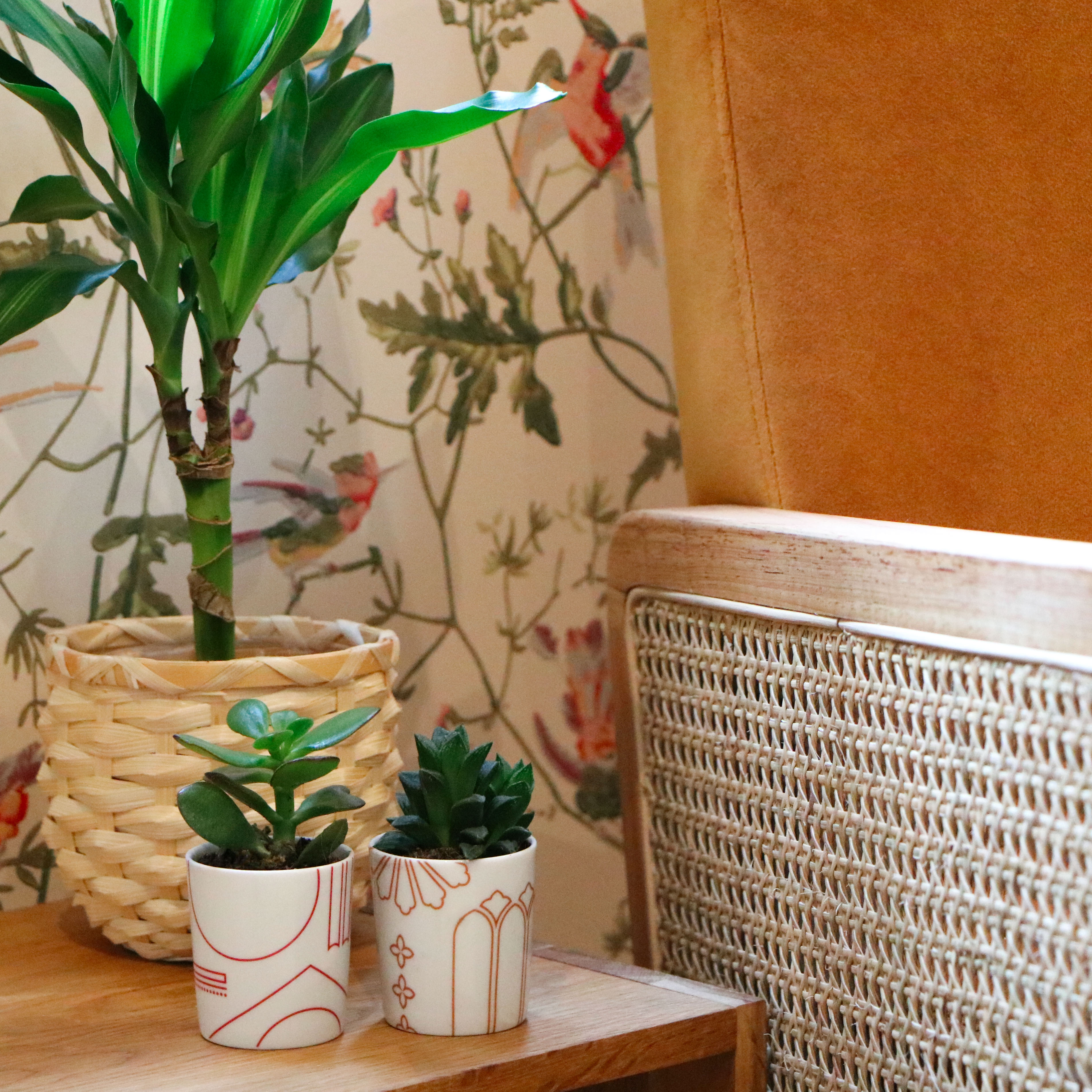 Opéra et Notre Dame