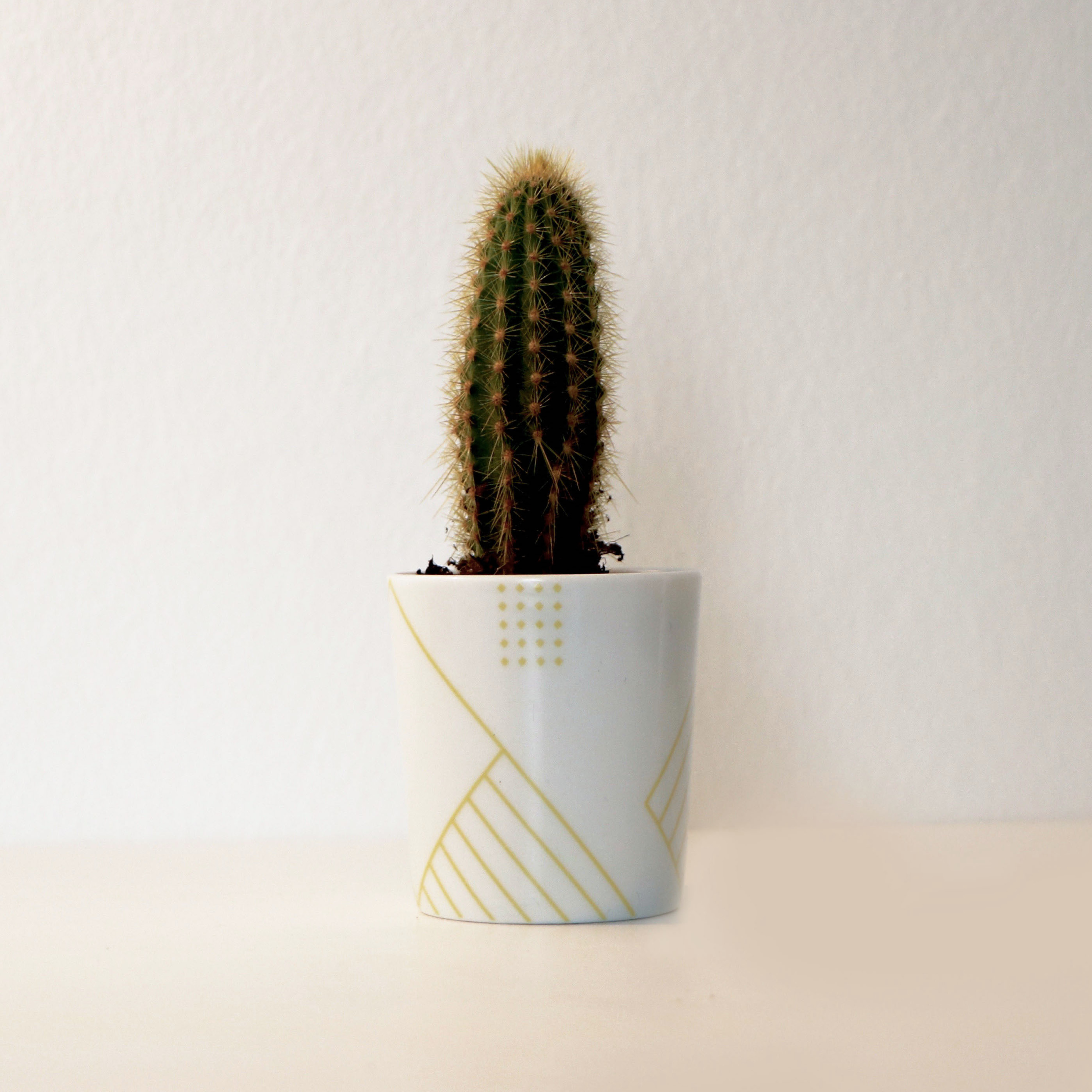 Petit Hybride Louvre