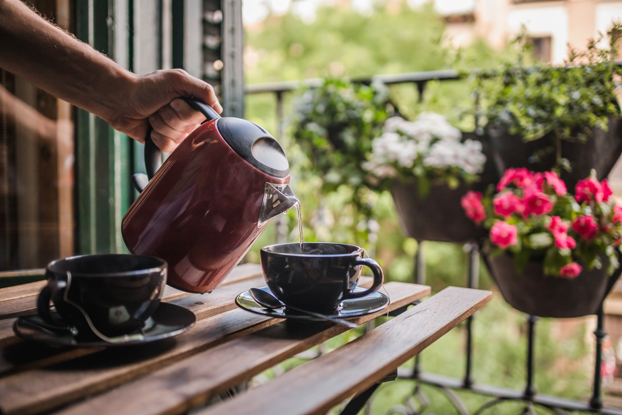Pack 3 pots muraux avec pothos 7