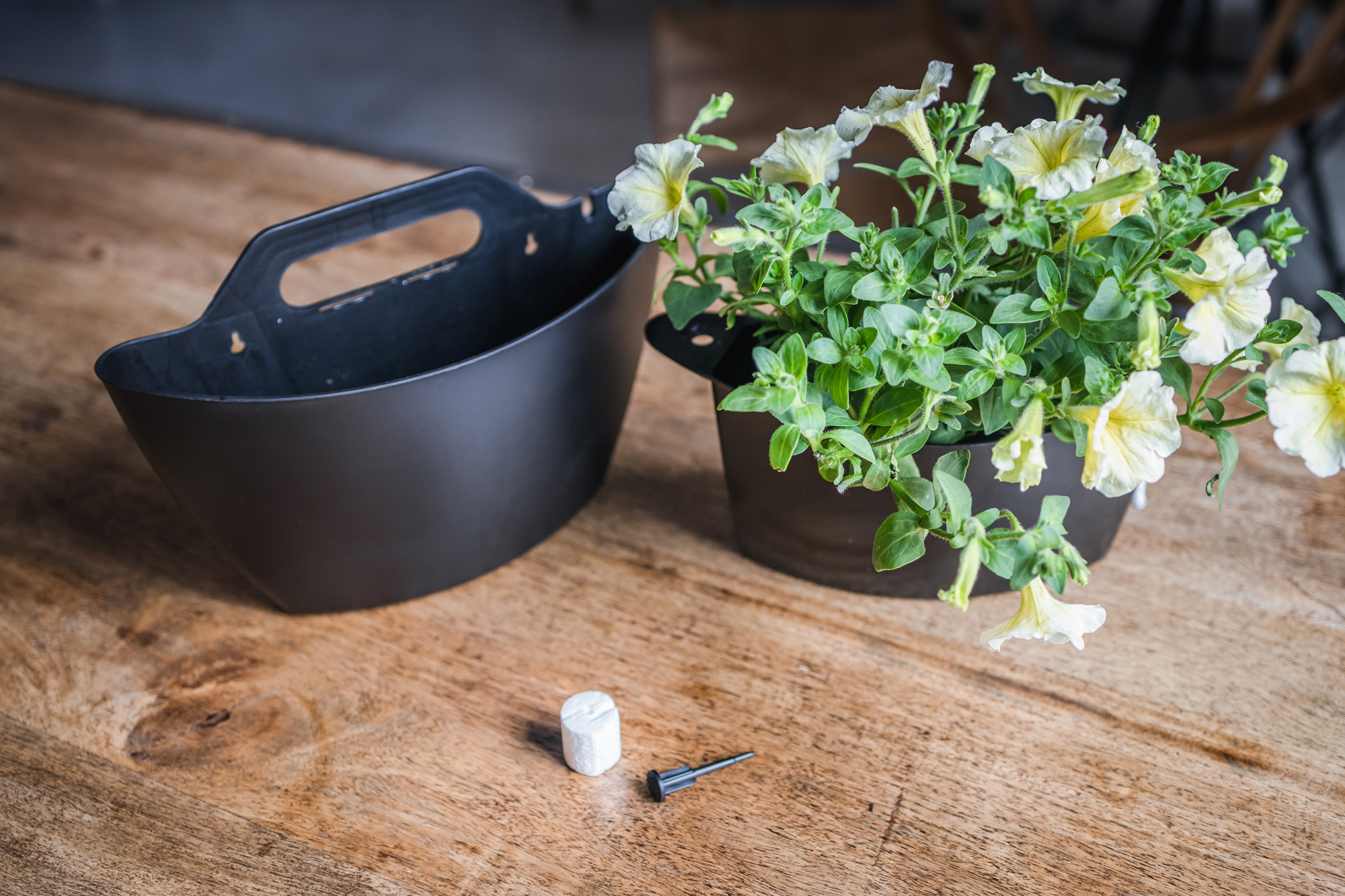 Pack 3 pots muraux à arrosage automatique 9