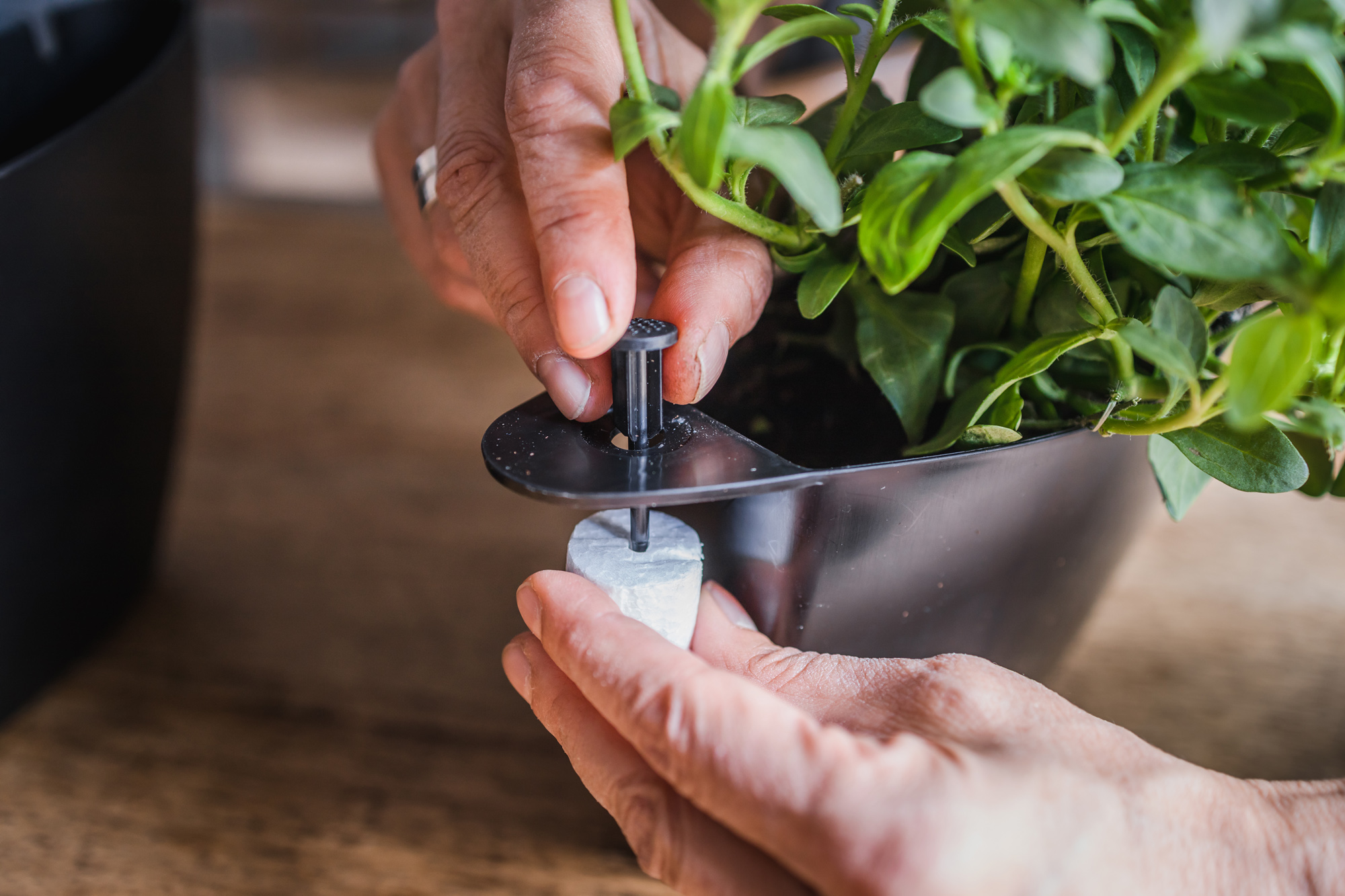 Pack 3 pots muraux à arrosage automatique 10