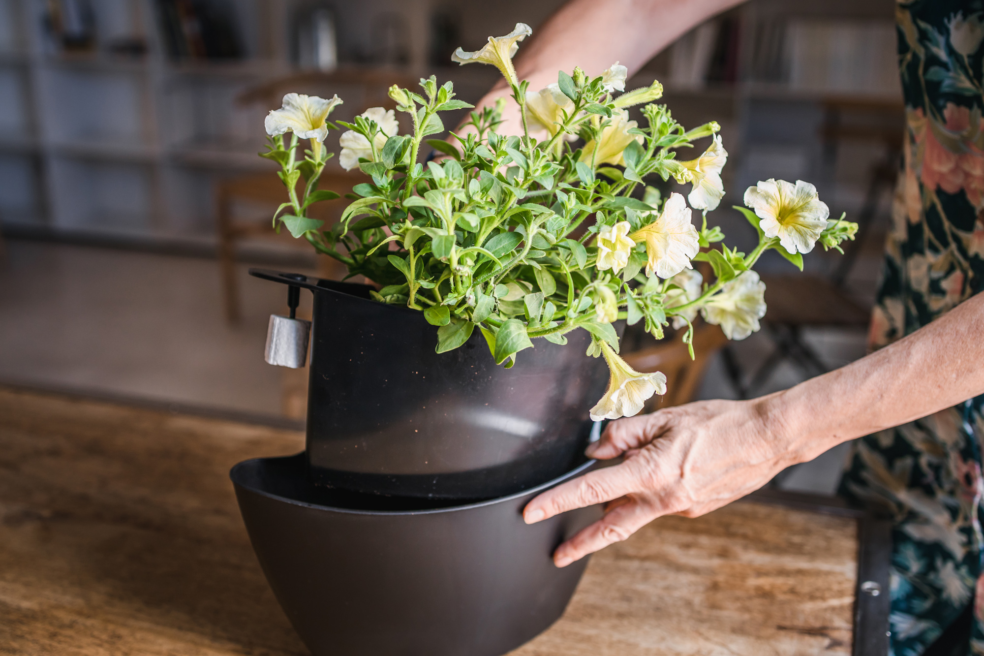 Pack 3 pots muraux à arrosage automatique 11