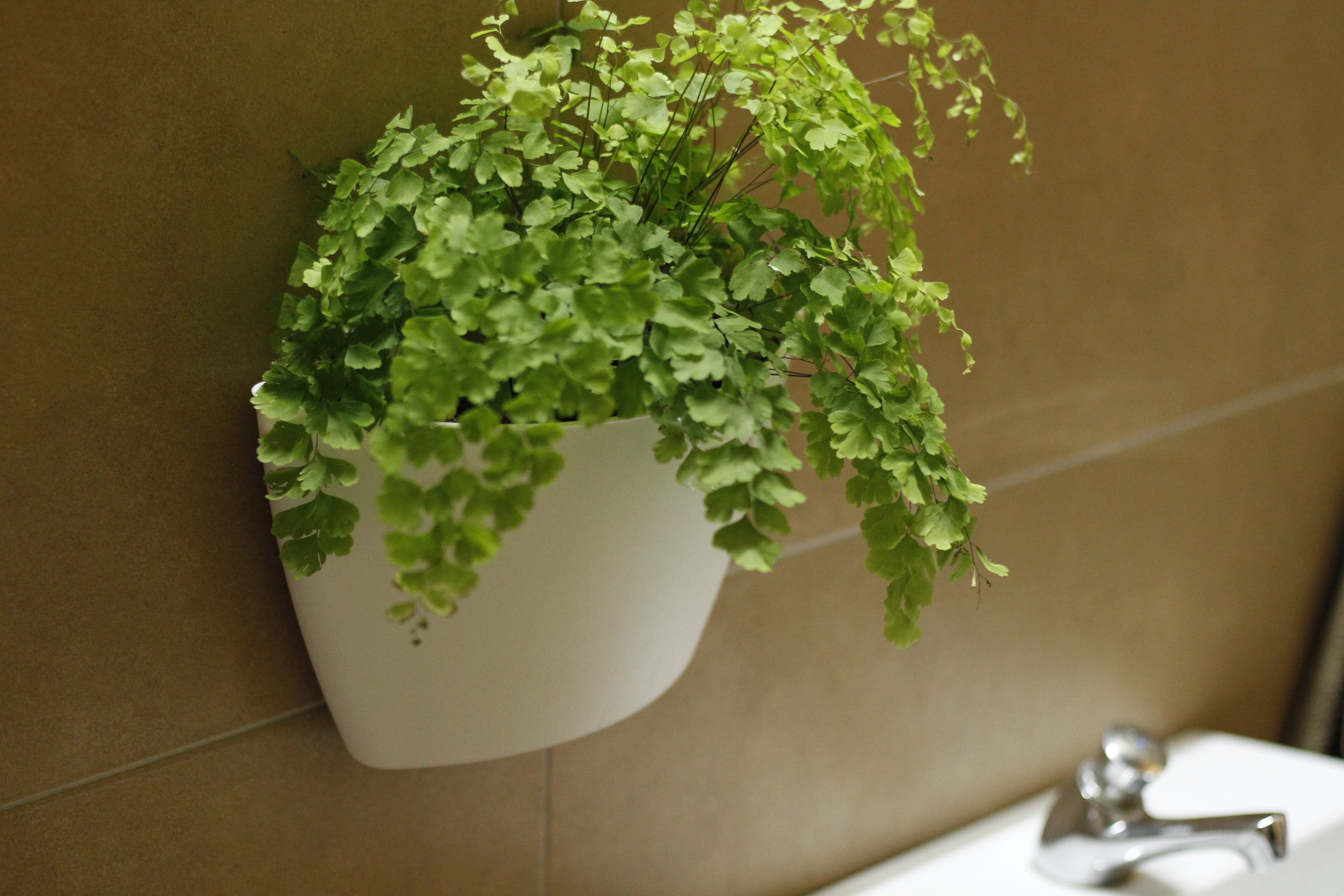 Pack 3 pots muraux à arrosage automatique 16