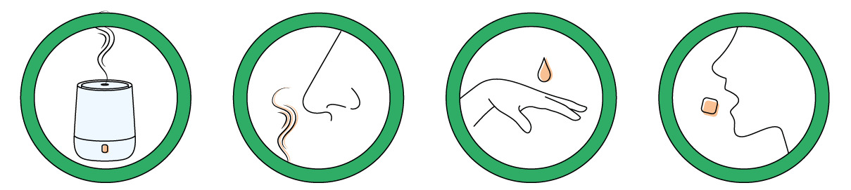 Huile essentielle biologique de Ravintsara | 10mL 2