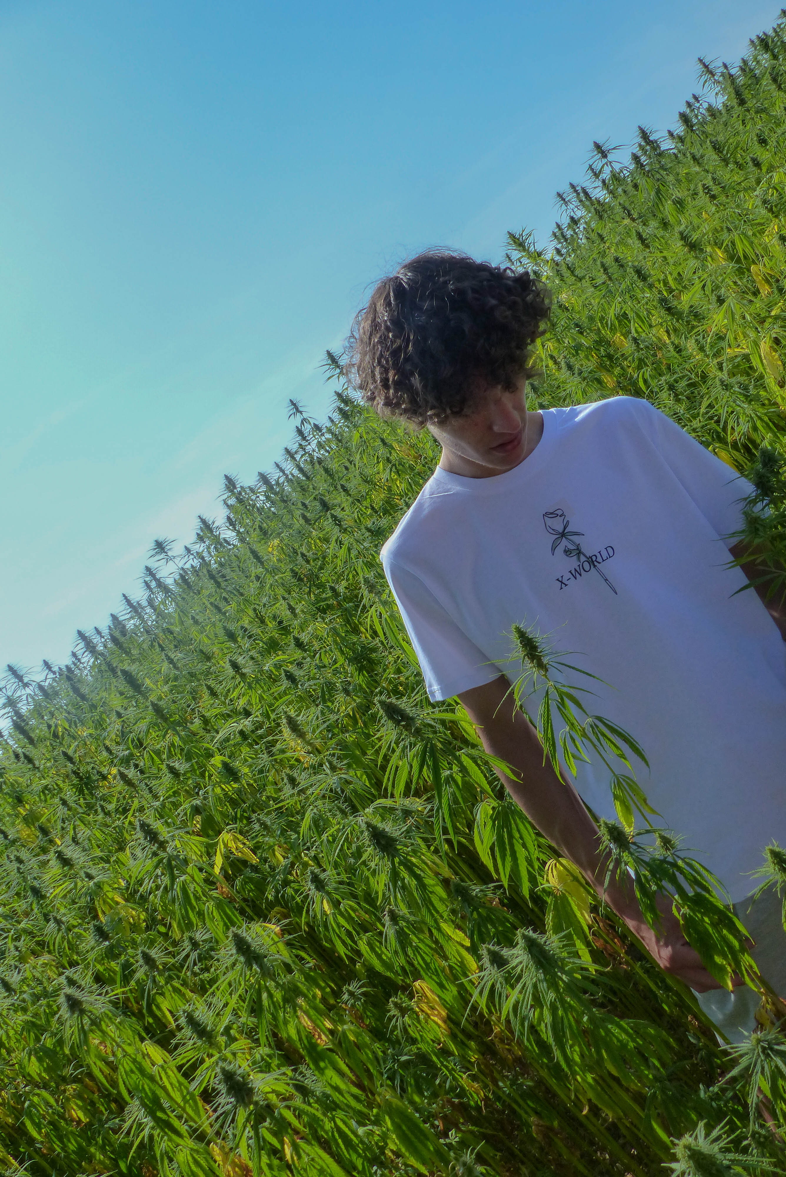 T-shirt - "Rose" - Blanc 4