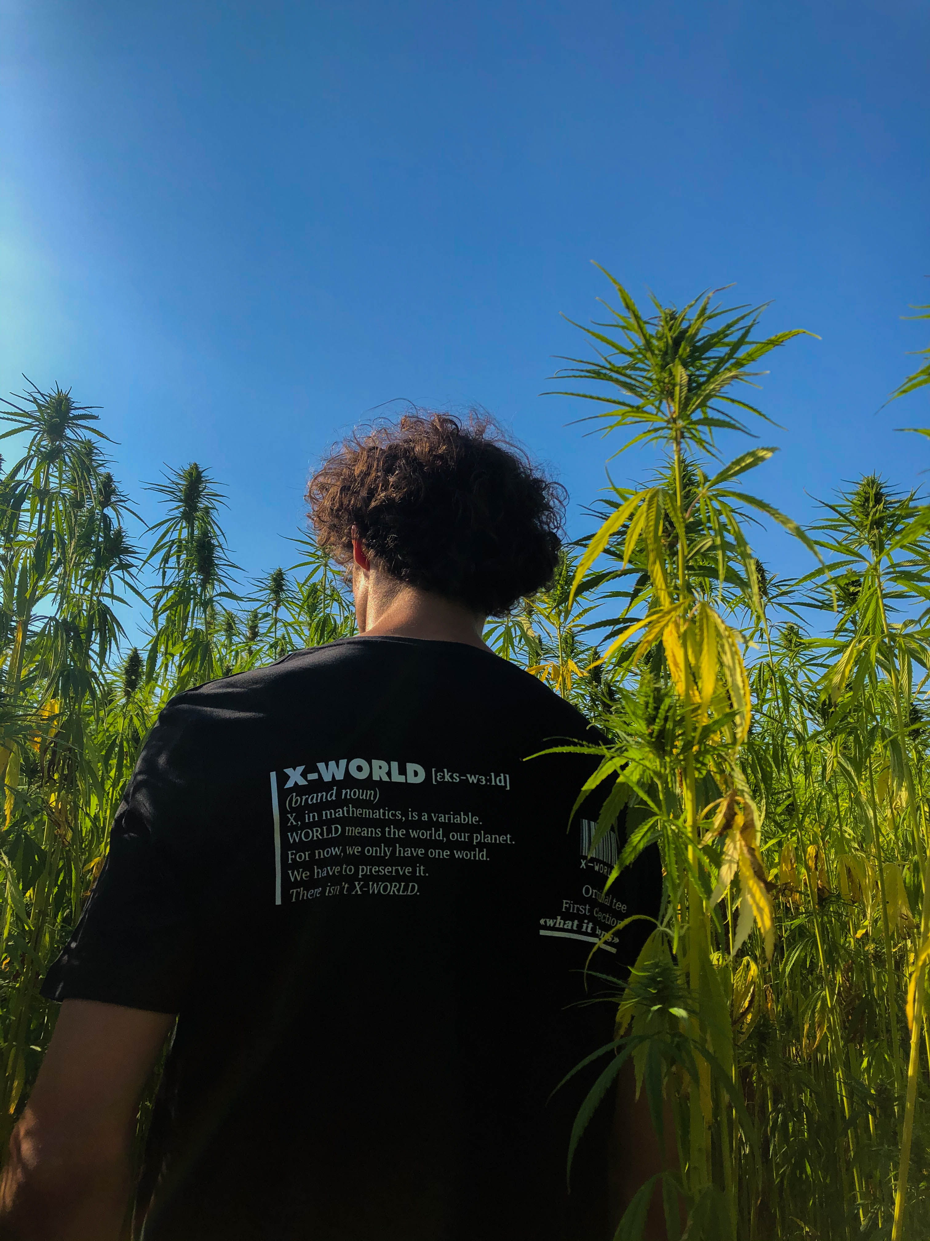 T-shirt - "What it means" - Plusieurs couleurs 4