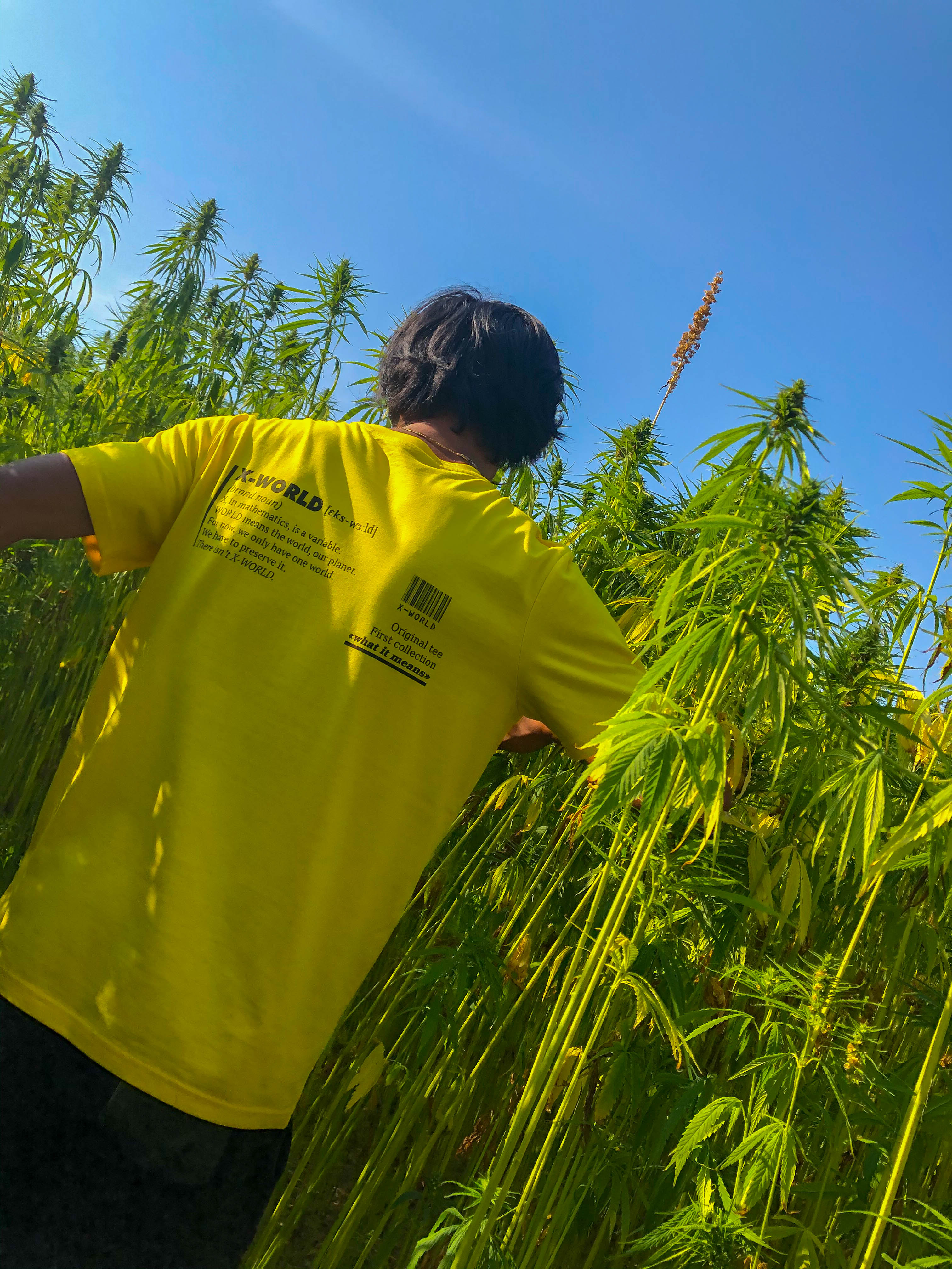 T-shirt - "What it means" - Plusieurs couleurs 8