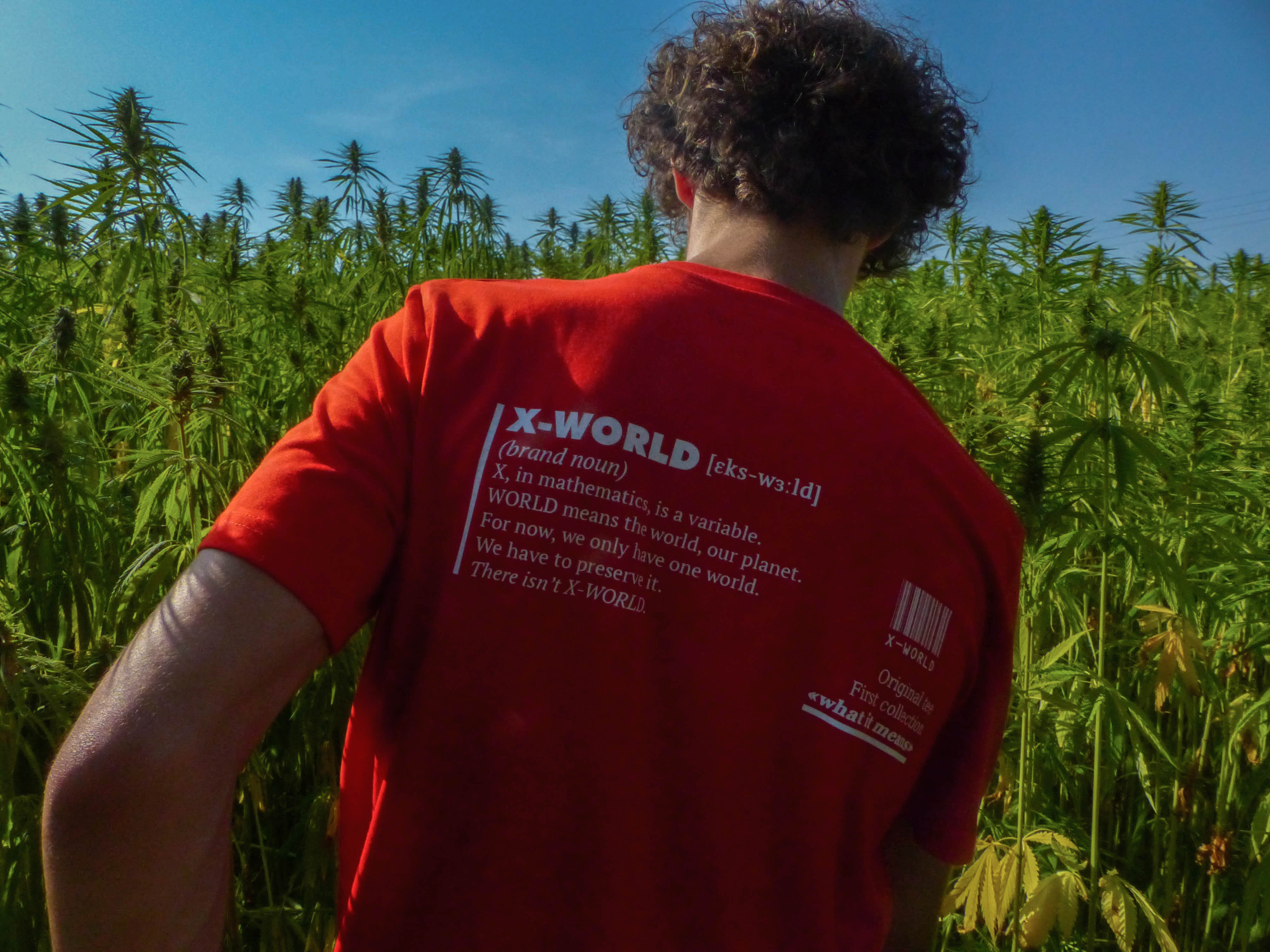 T-shirt - "What it means" - Plusieurs couleurs 10