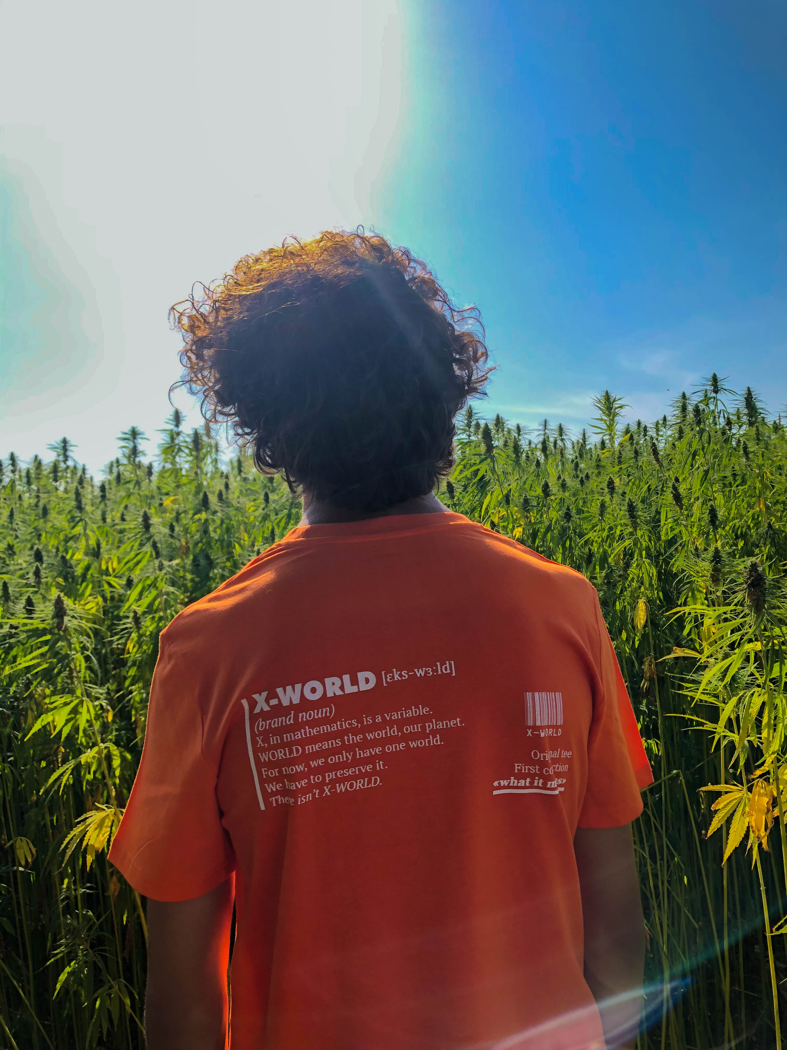 T-shirt - "What it means" - Plusieurs couleurs 12