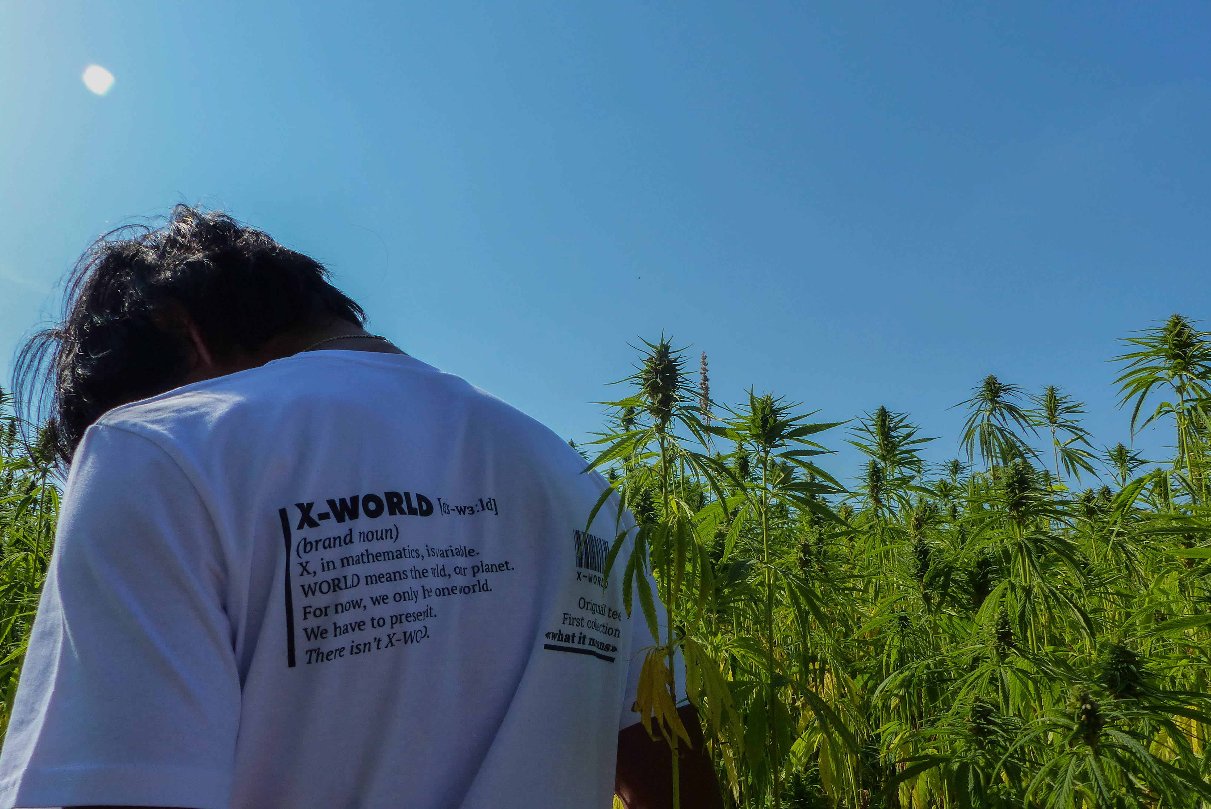 T-shirt - "What it means" - Plusieurs couleurs 2