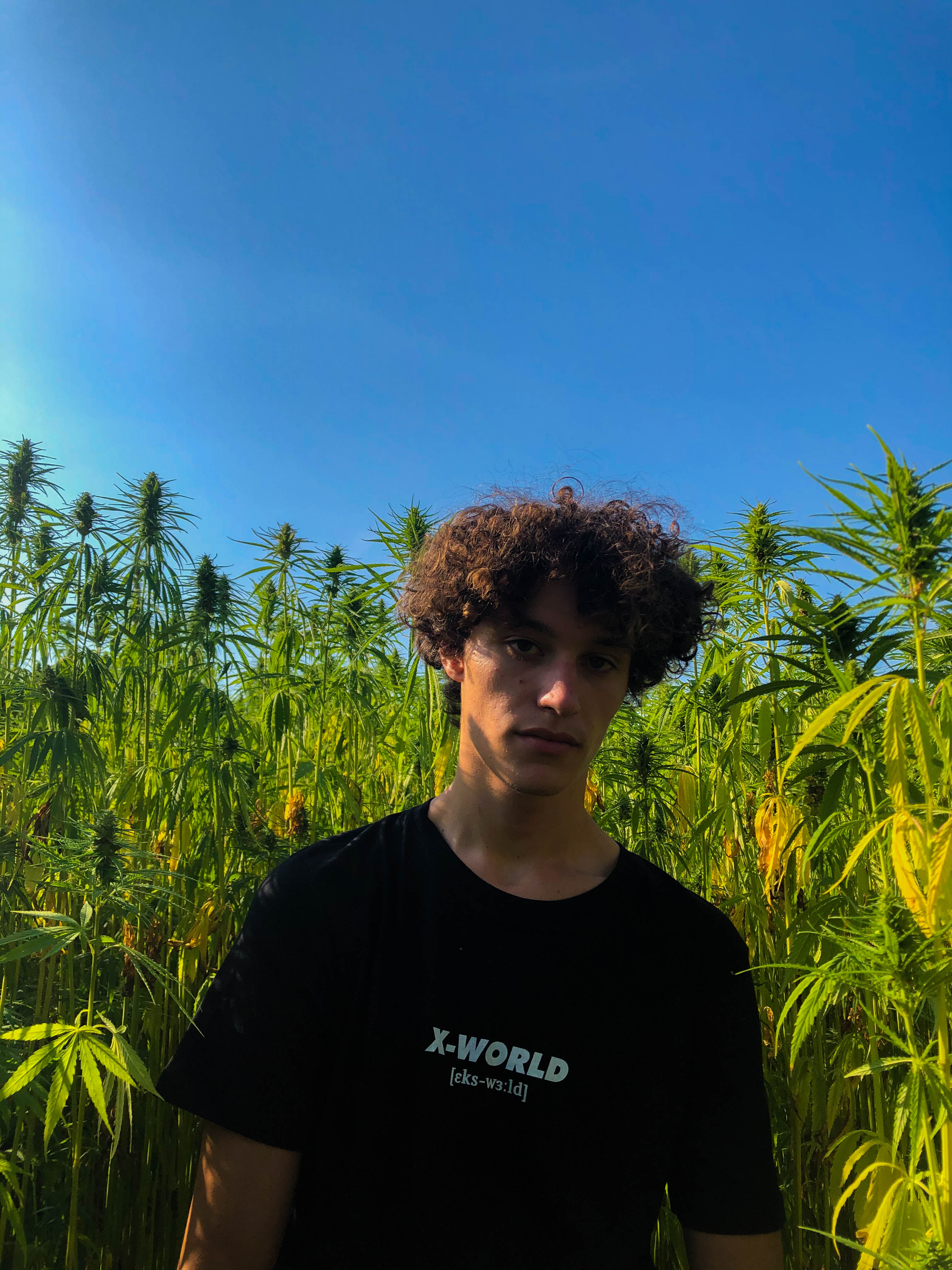 T-shirt - "What it means" - Plusieurs couleurs 5