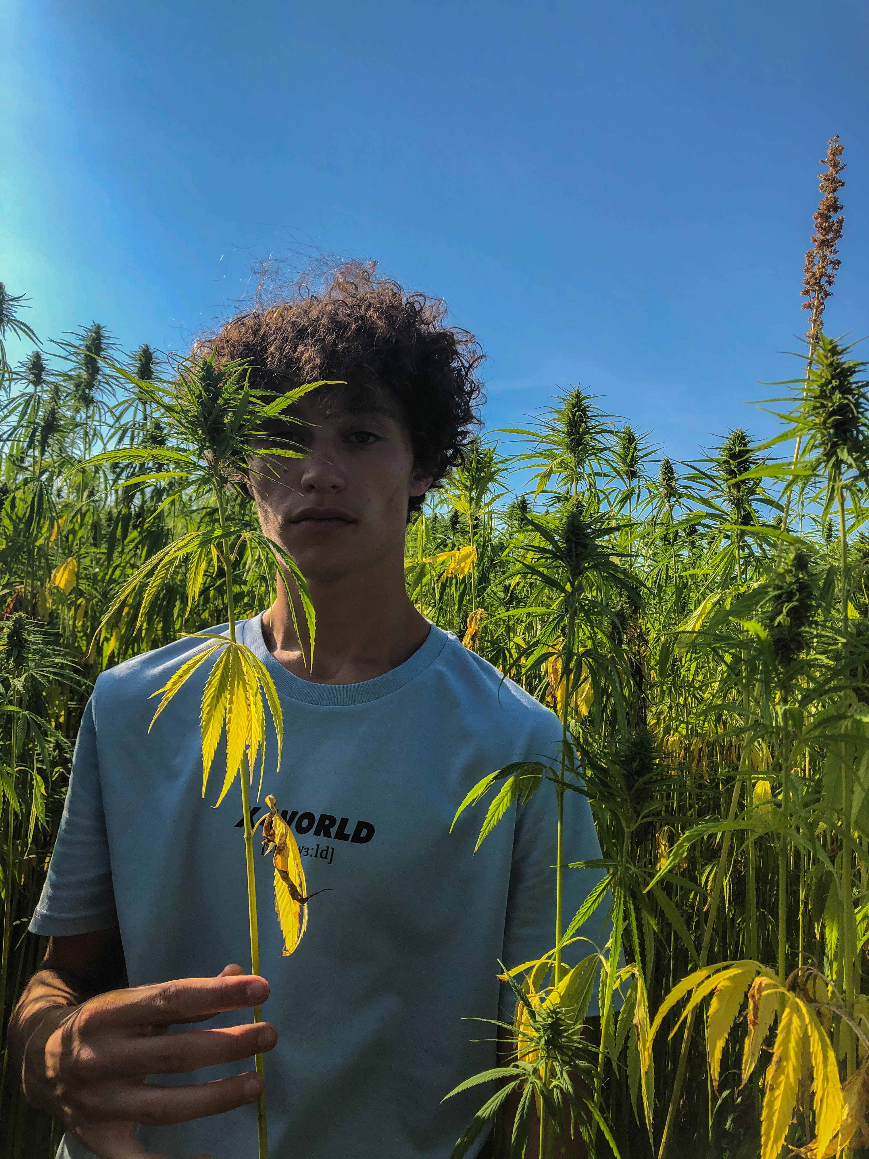 T-shirt - "What it means" - Plusieurs couleurs 7