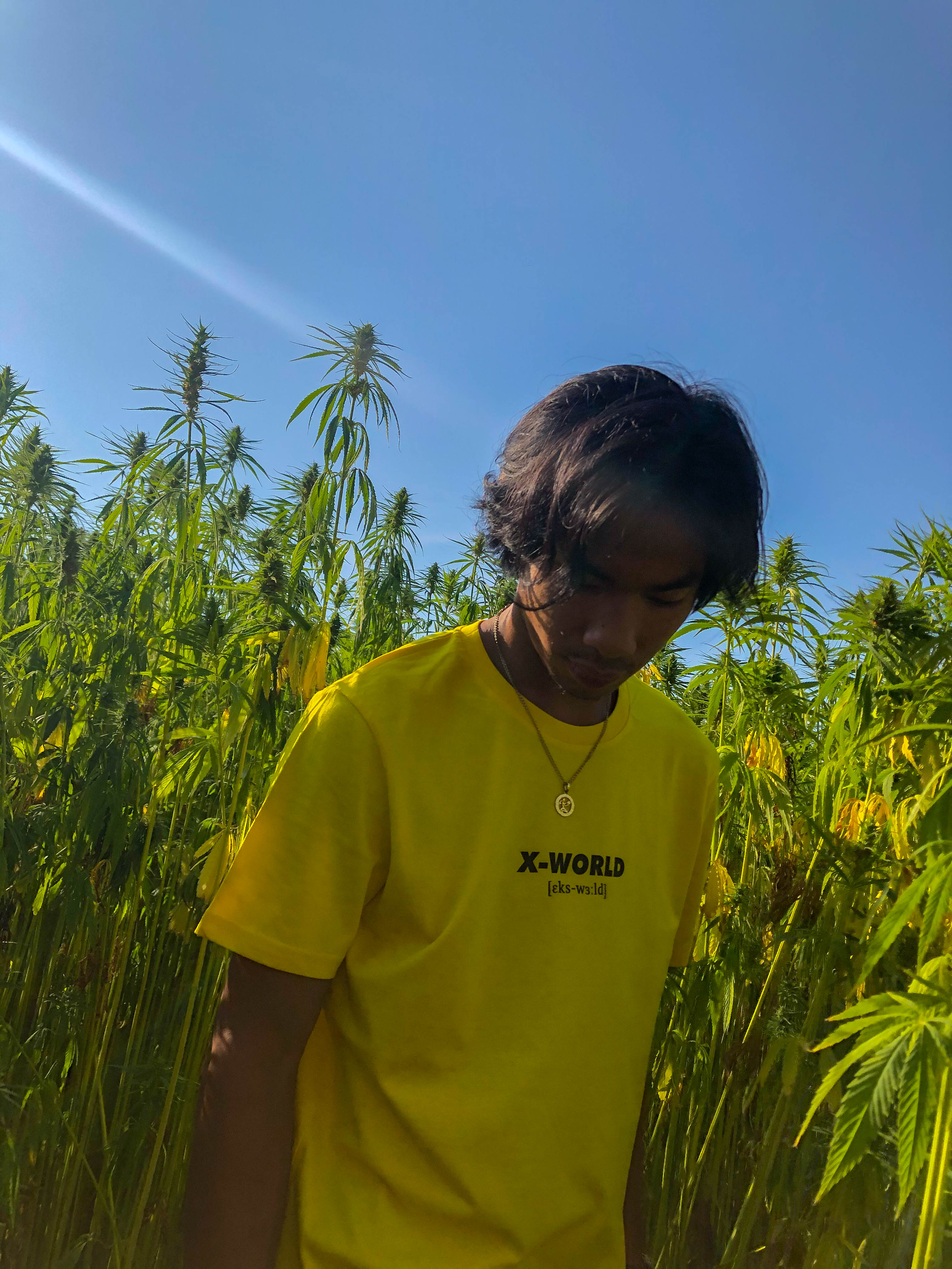 T-shirt - "What it means" - Plusieurs couleurs 9