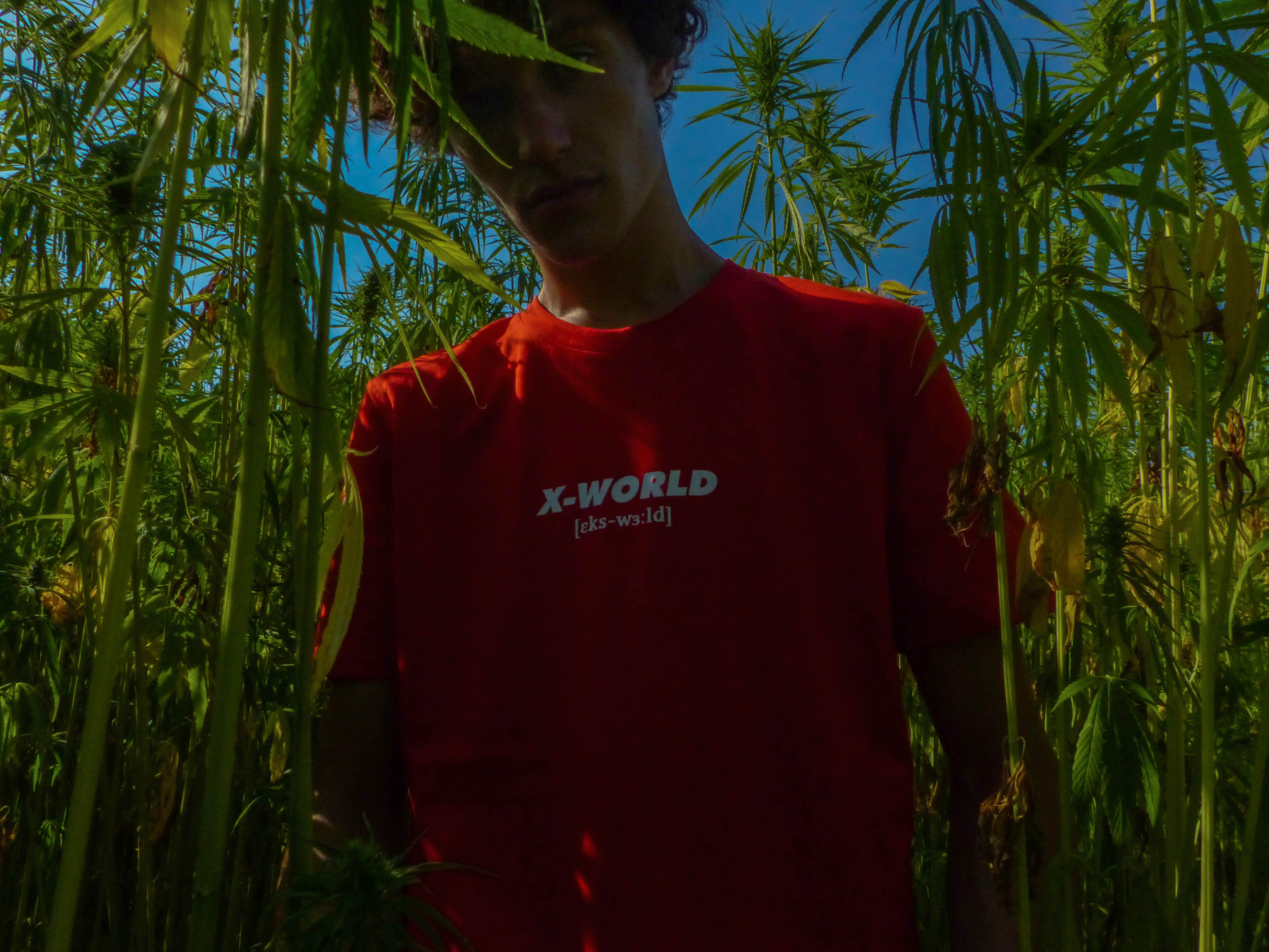 T-shirt - "What it means" - Plusieurs couleurs 11