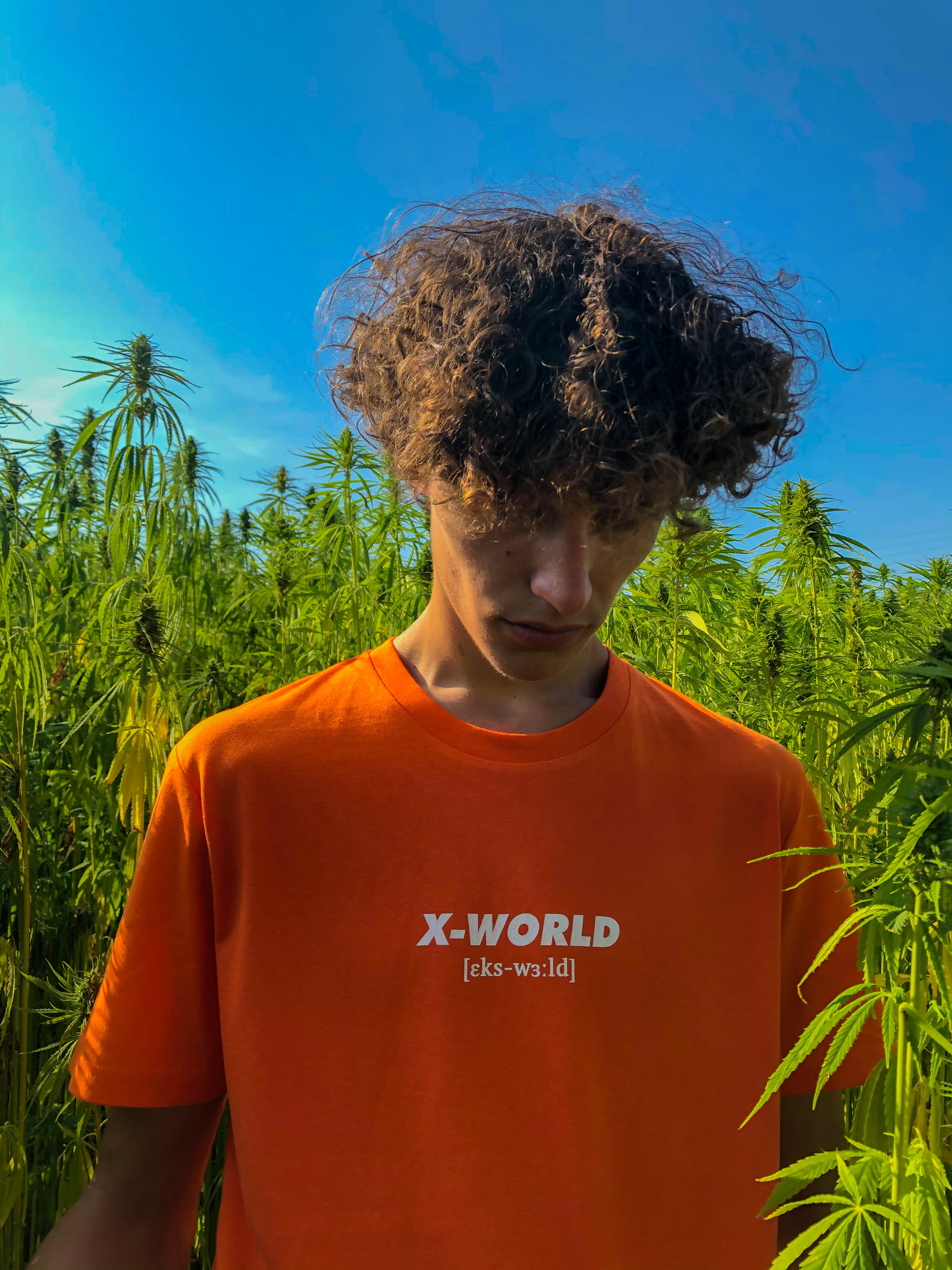 T-shirt - "What it means" - Plusieurs couleurs 13