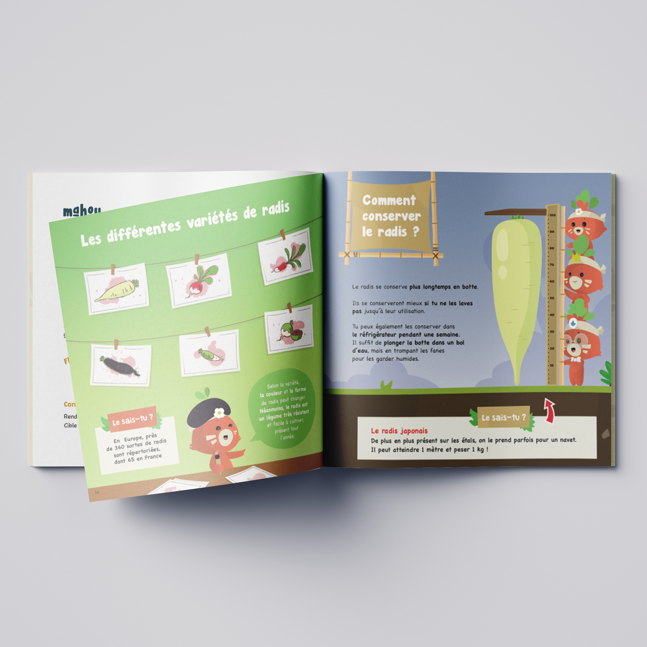 Le kit à semer radis 4