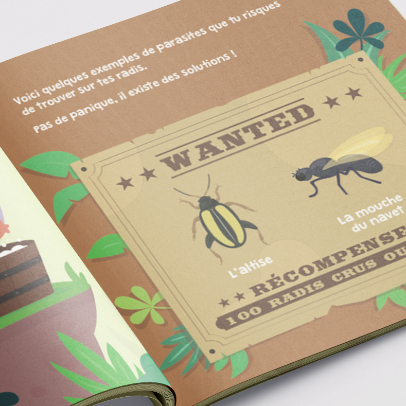 Le kit à semer radis 5