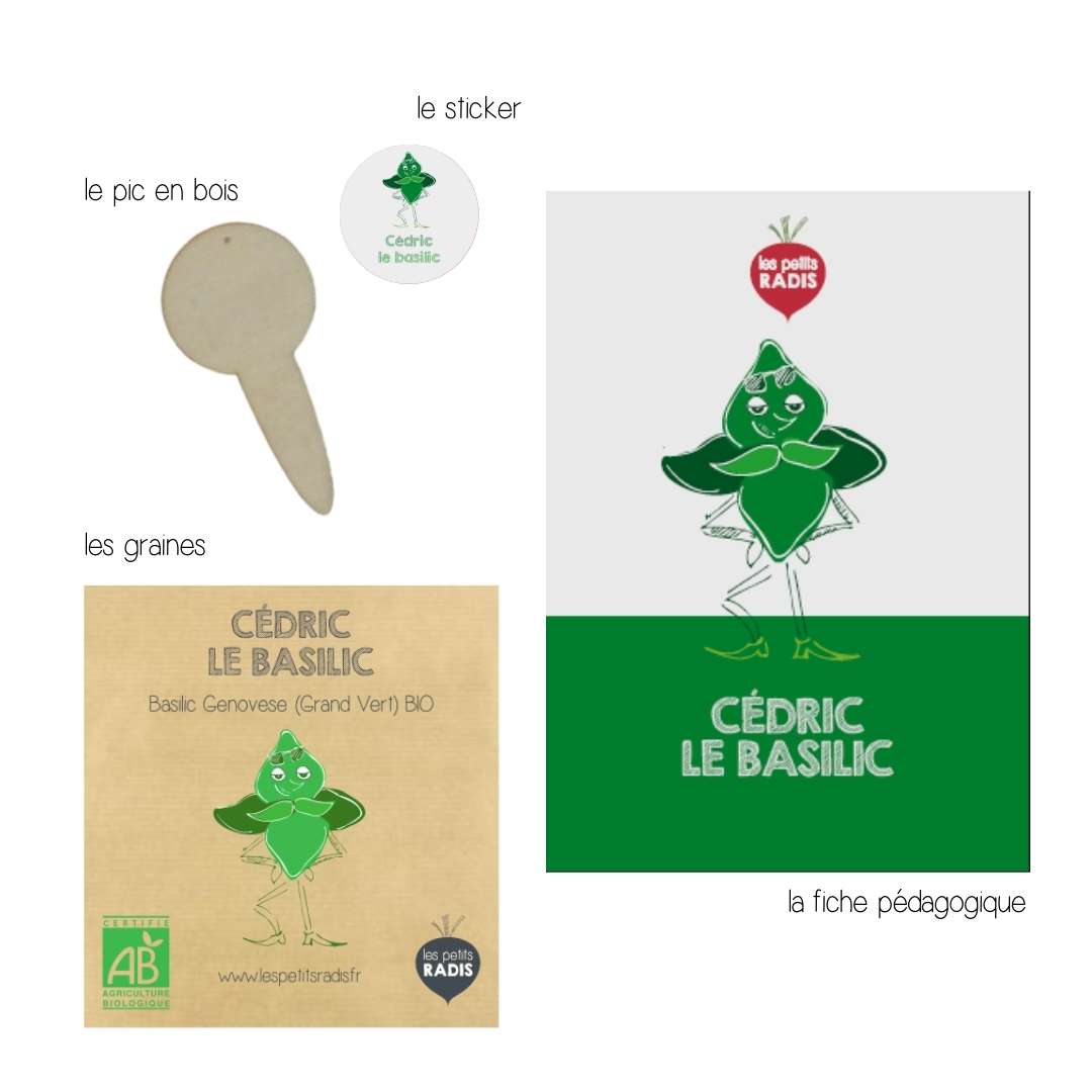 Mini-kit de semis - graines de basilic bio - Cédric le Basilic 3