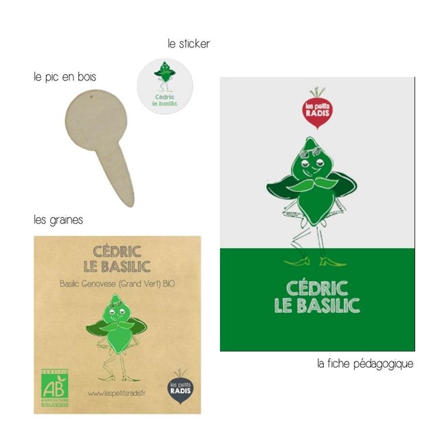 Mini-kit de semis - graines de basilic bio - Cédric le Basilic 3