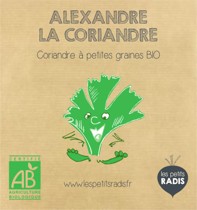 Mini-kit de semis - graines de coriandre bio - Alexandre la Coriandre 3
