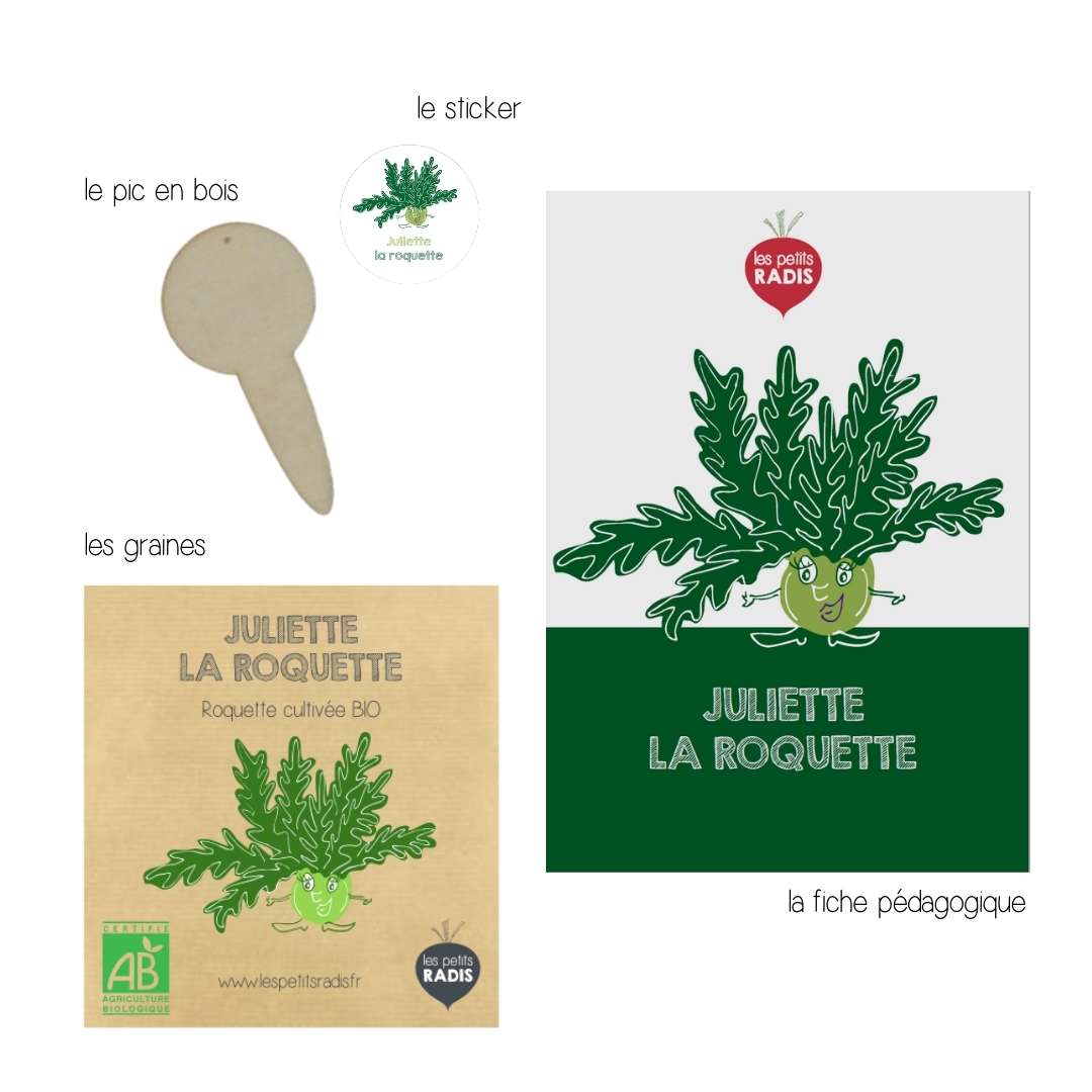 Mini-kit de semis - graines de roquette bio - Juliette la roquette 2