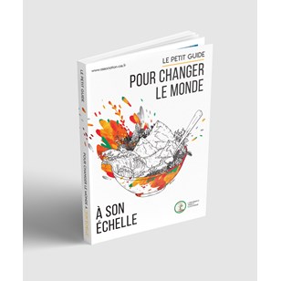 Guide pour changer le monde à son échelle