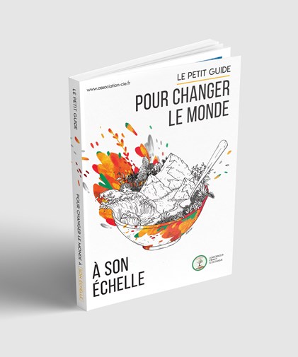 Guide pour changer le monde à son échelle