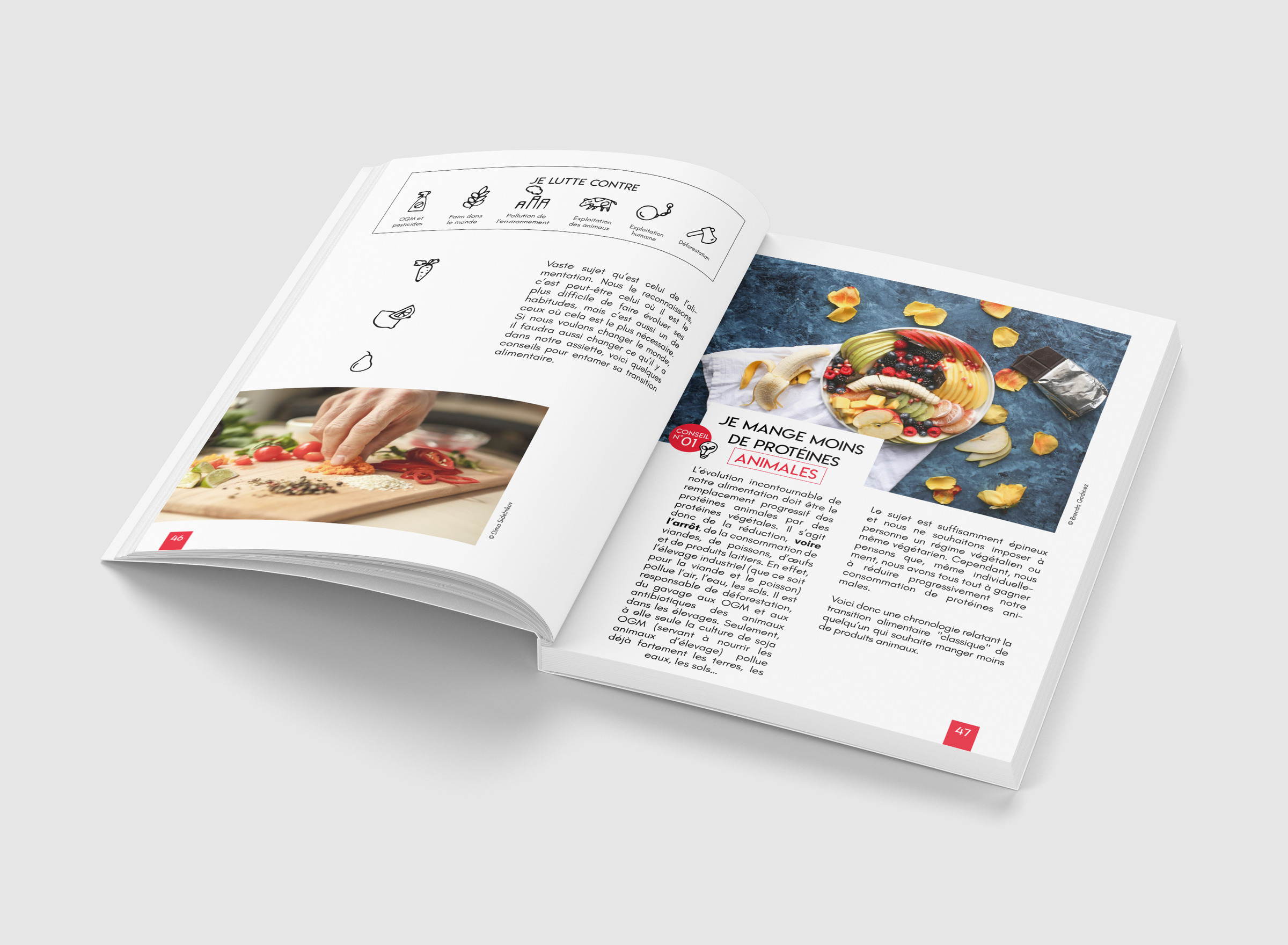 Guide pour changer le monde à son échelle 3