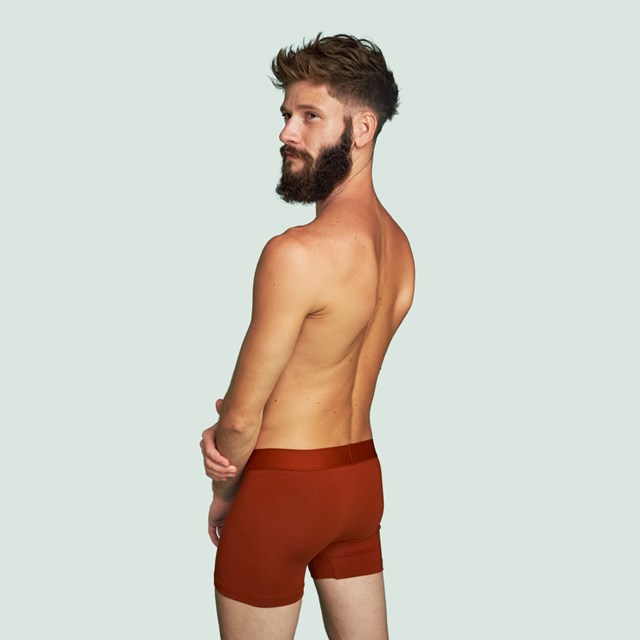 Boxer confort rouille pour hommes petrone
