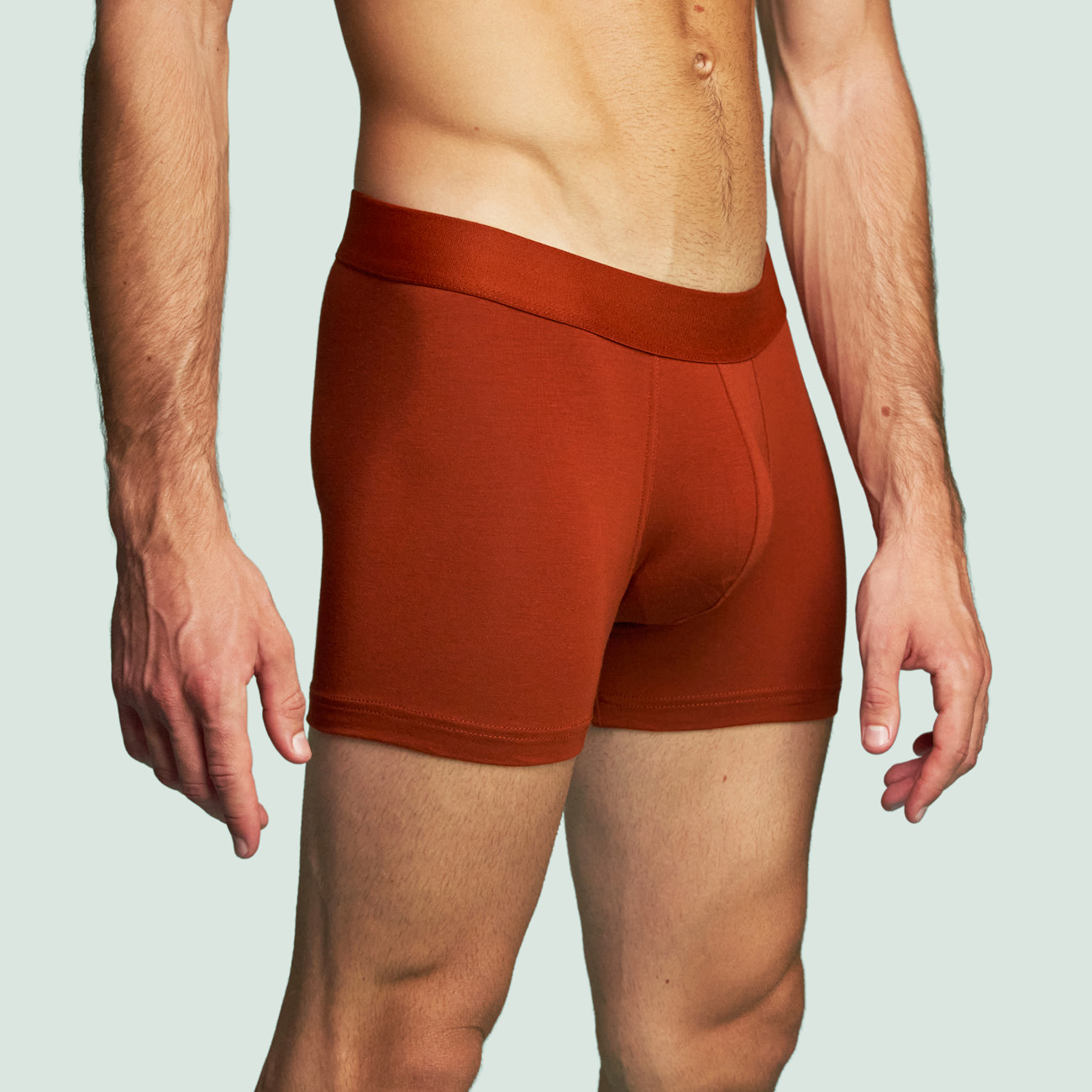 Boxer Confort Rouille - pack de 2 boxers 2