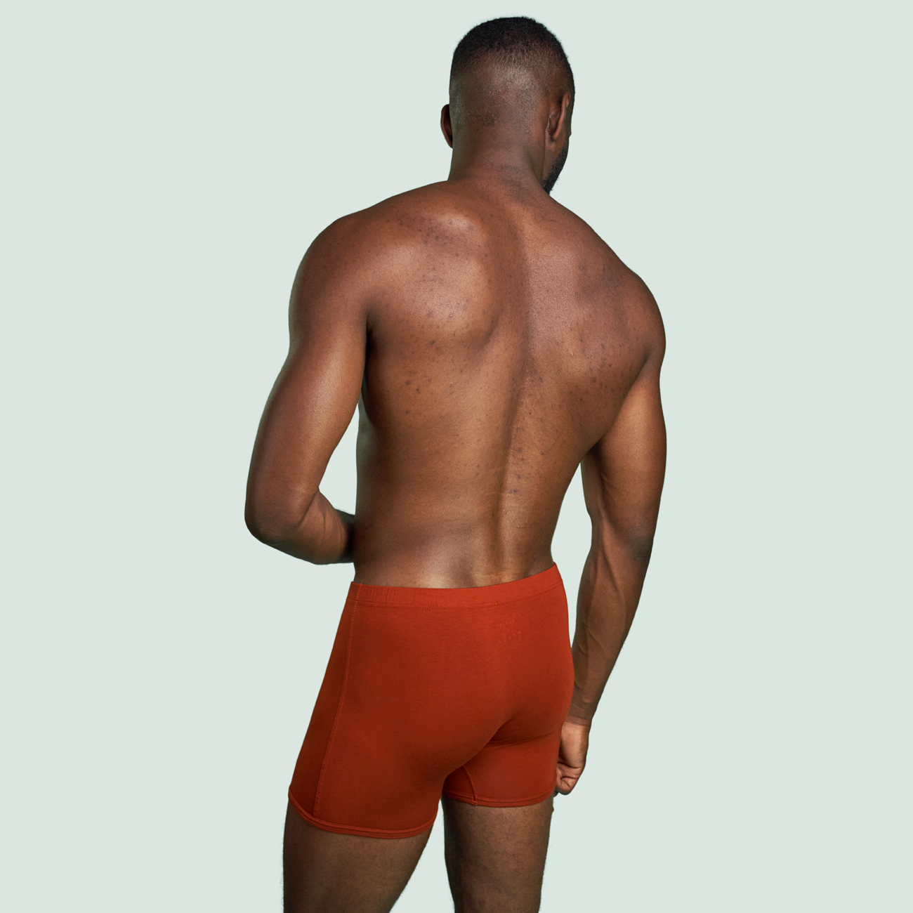 Boxer Héritage Rouille - pack de 2 boxers 2