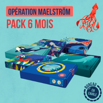 Enquête En Cavale - PACK 6 MOIS "Opération Maelström" 2