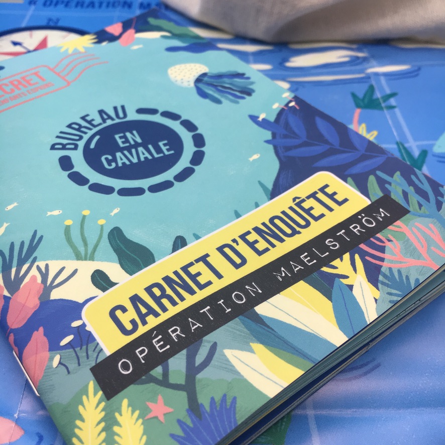 Enquête En Cavale - PACK 6 MOIS "Opération Maelström" 3