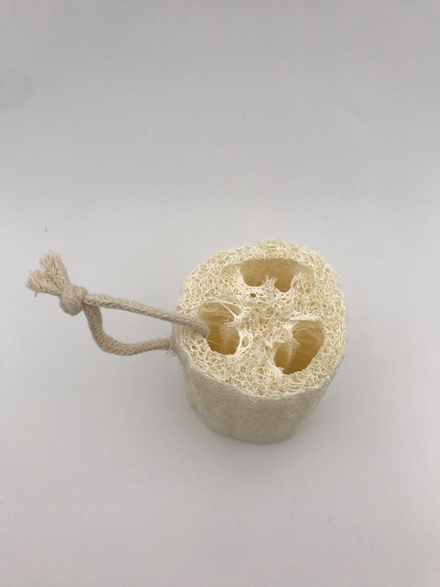Cylindre de Luffa 3