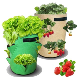 Sac planteur pour fraisiers ou salades