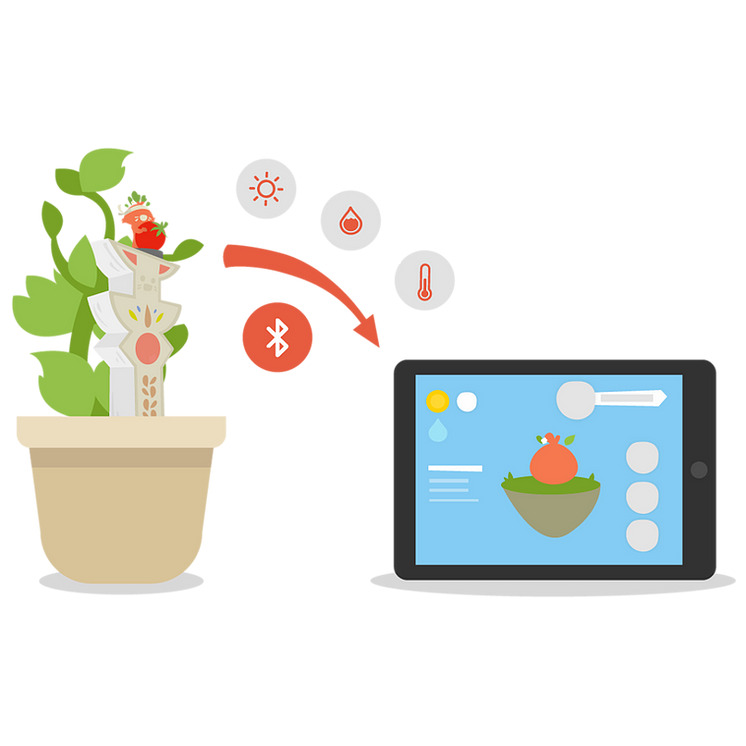 Le Kit Totem Magique 4