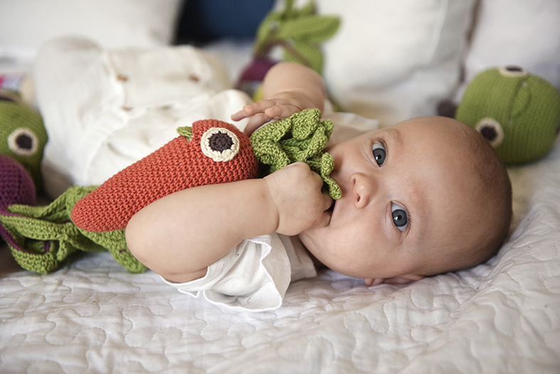 CHARLOTTE LA CAROTTE - HOCHET POUR BÉBÉ EN COTON BIO 6