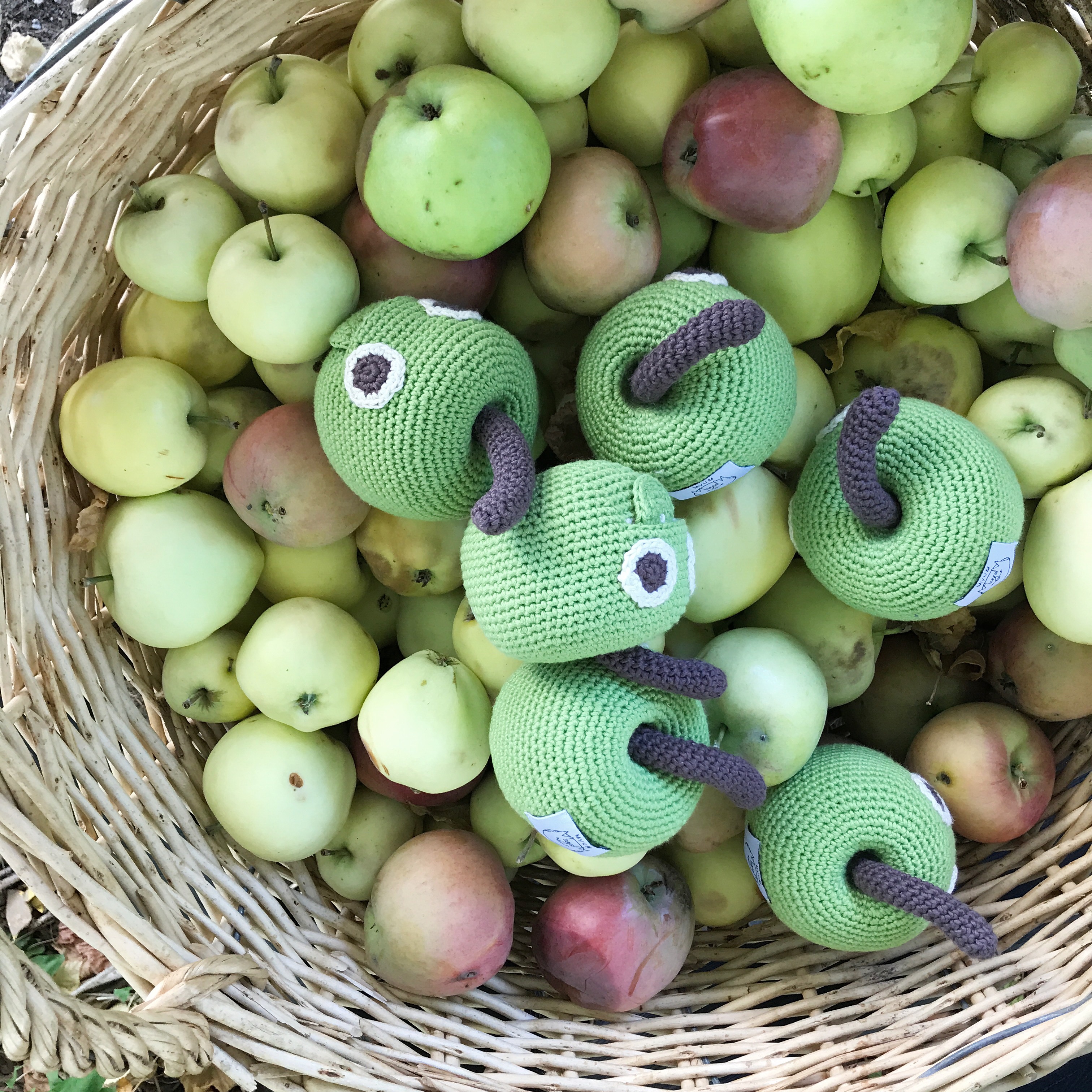 NEWTON LA POMME - HOCHET POUR BÉBÉ EN COTON BIO 8