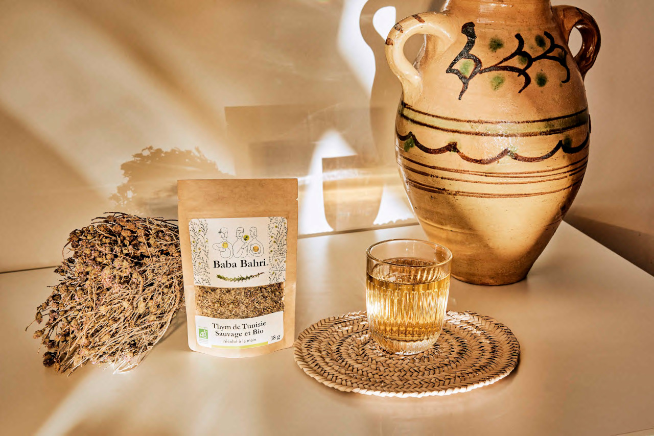 Thym Sauvage et Bio de Tunisie – Thymus Capitatus 3
