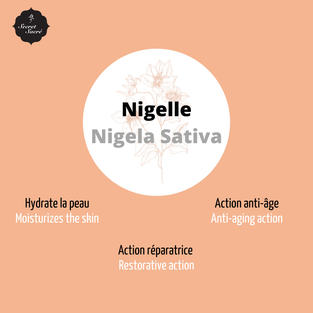 Crème de beauté à la Nigelle bio - 30ml 5