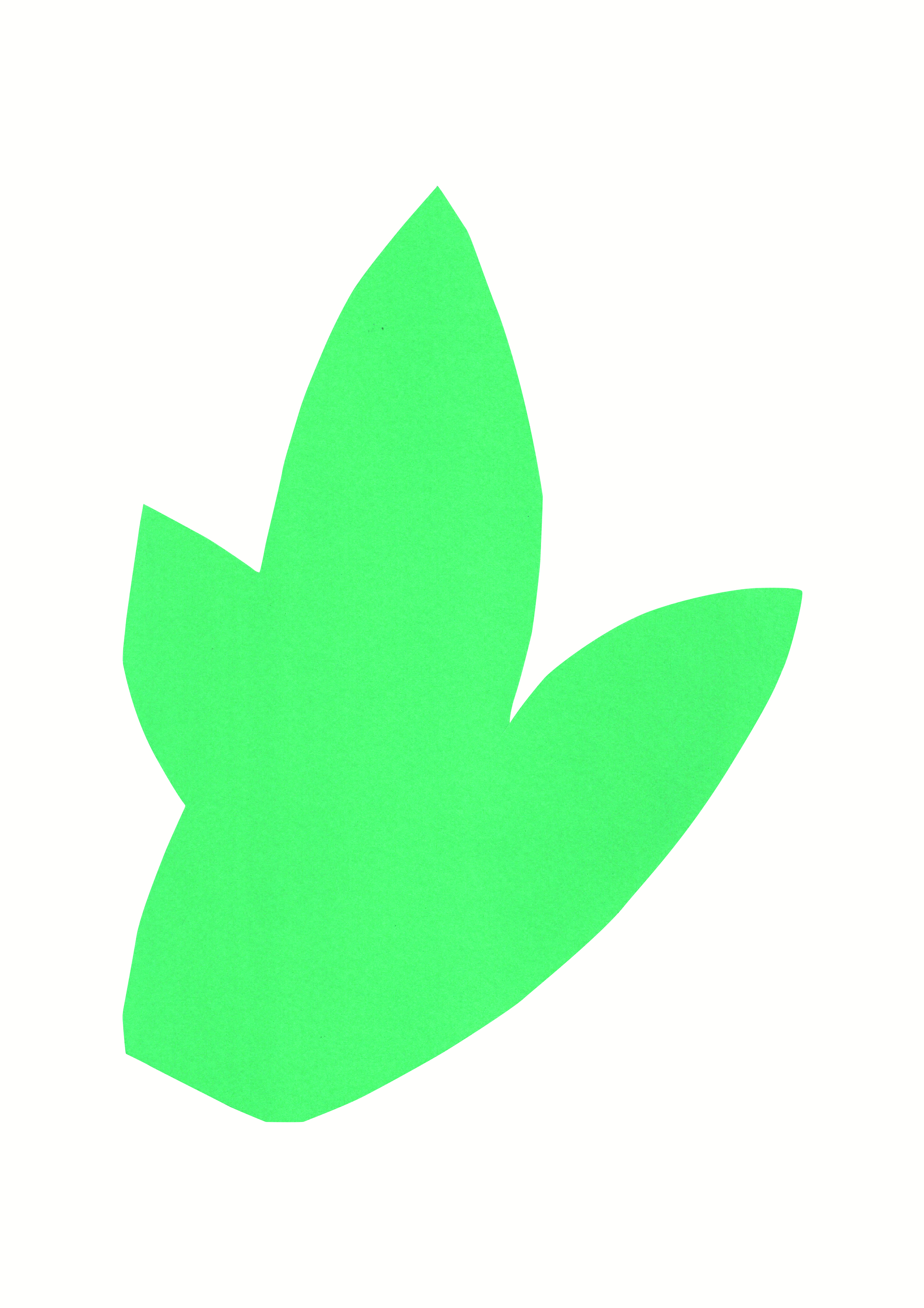 Illustration "FEUILLE", A3 ORIGINAL 3