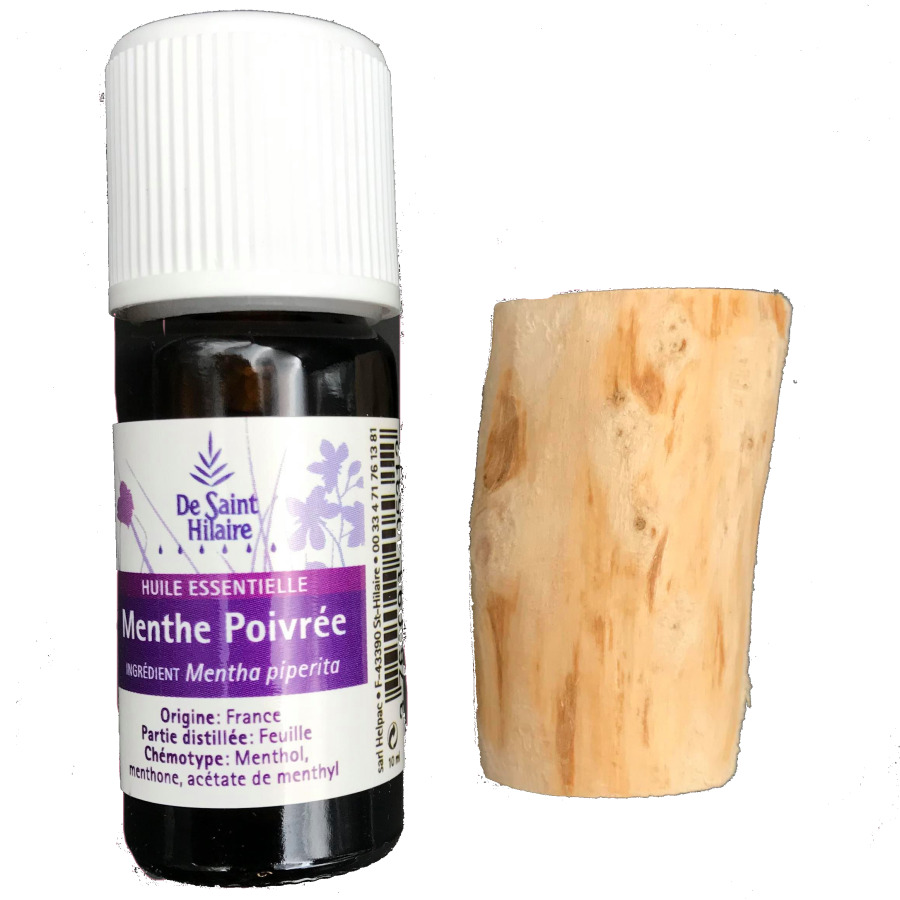 Diffuseur de parfum Auto (à suspendre) 3