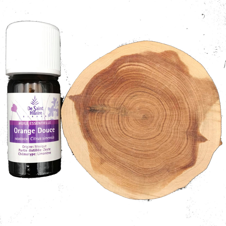 Diffuseur de parfum Toilette (à poser) 5