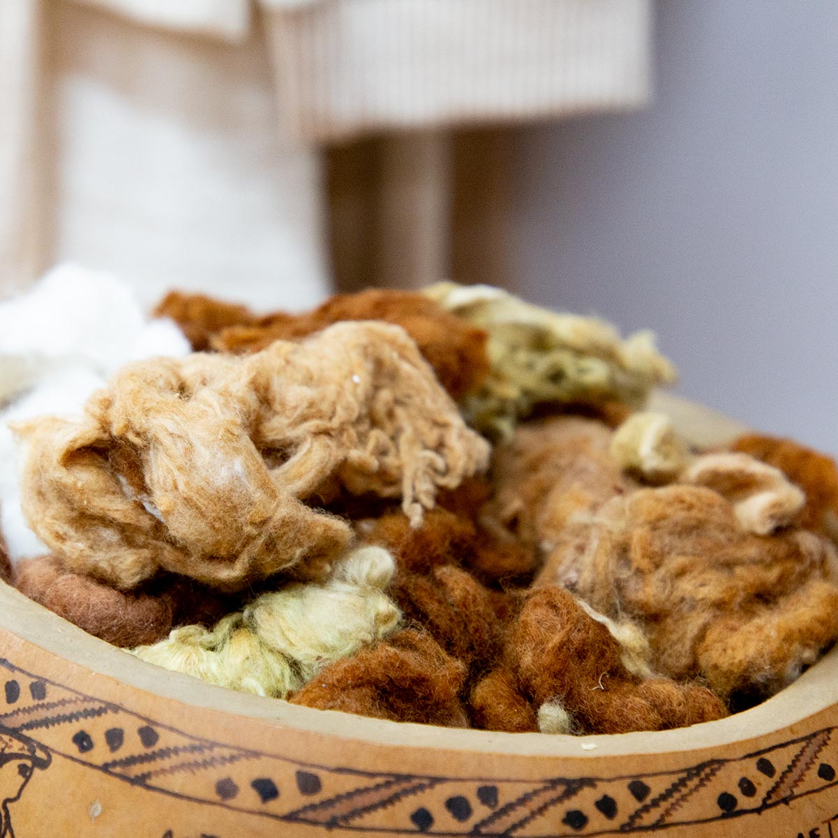 variété de coton bio non teint pitumarka