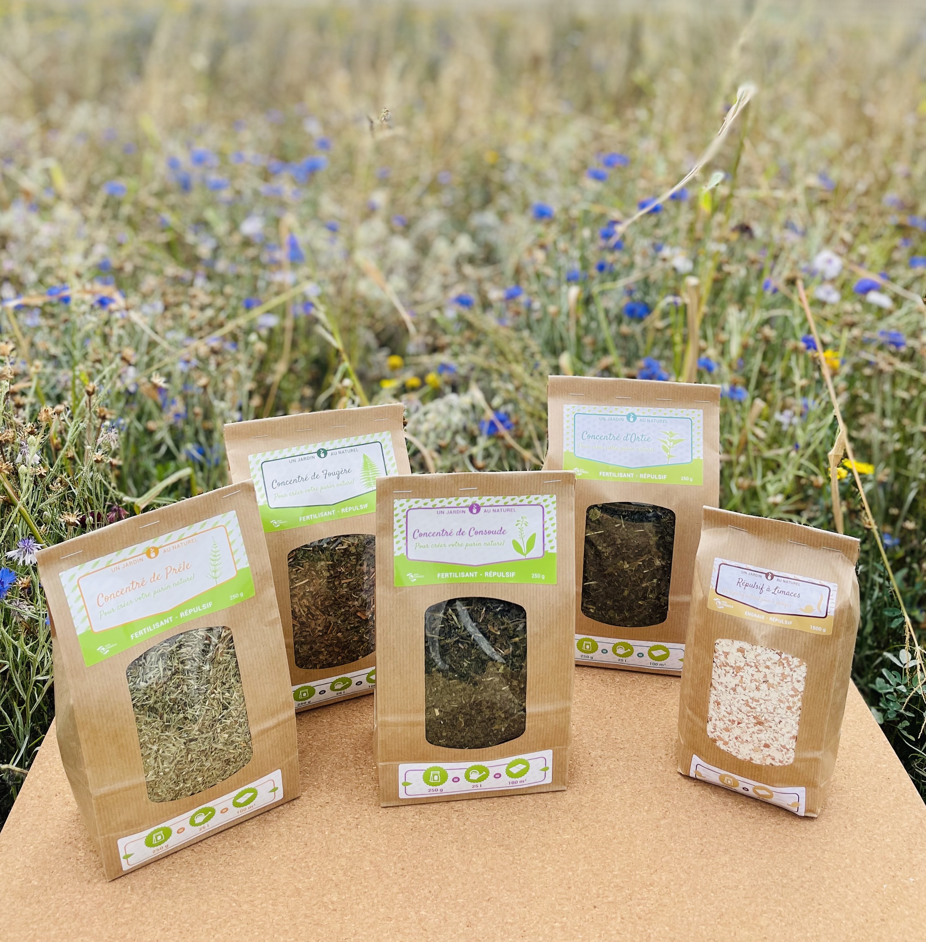 Concentré de Fougère - Sachet de 250g 3